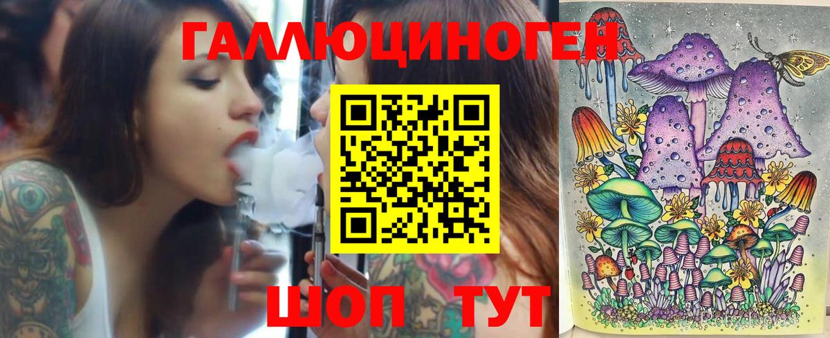 Кингисепп  Галлюциногенные грибы Psilocybine cubensis  Вход с VPN 