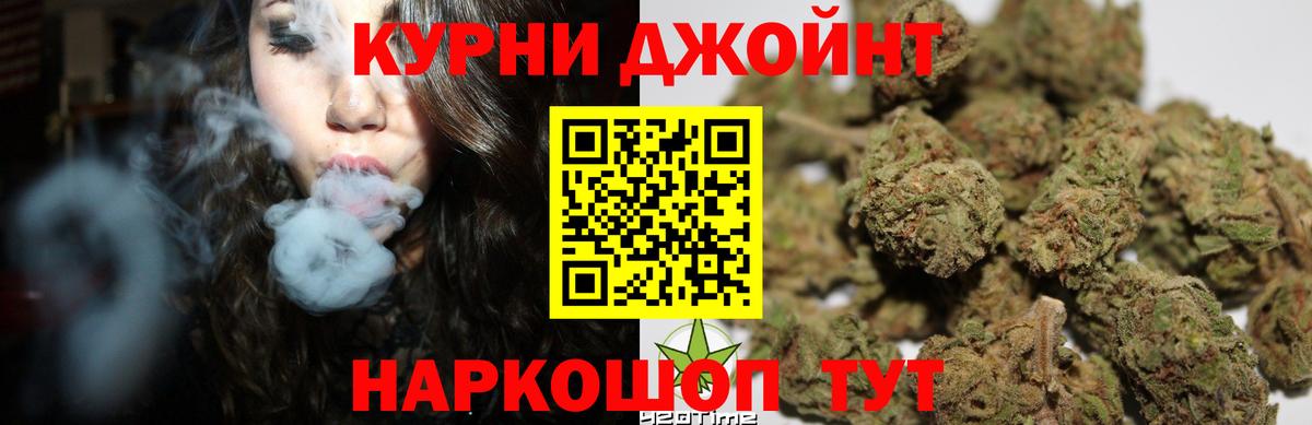 Каннабис план Кингисепп